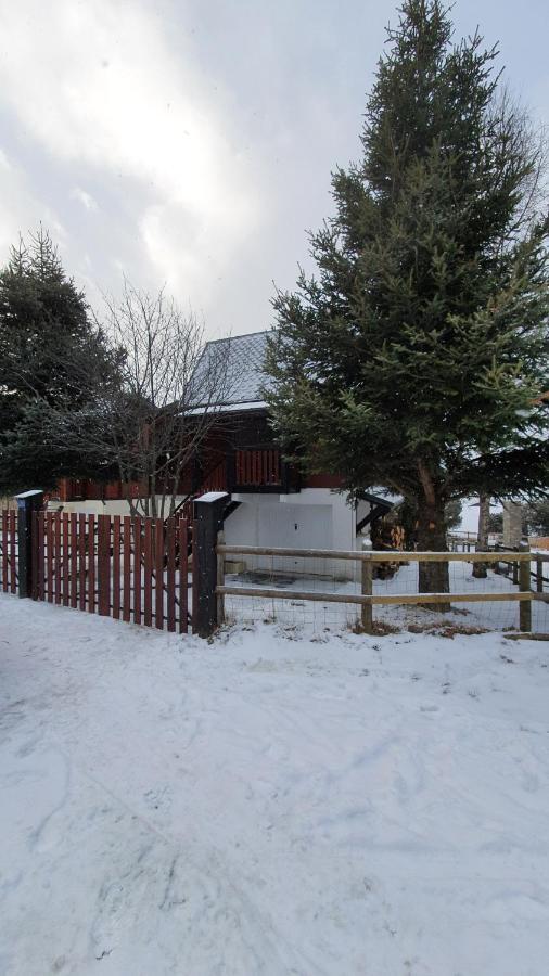 Chalet Individuel Les Sorbiers - 80M2 - Jardin - Barbecue - Wifi - Netflix - Ski & Randonnee - Pyrenees Catalanes Francaises - Eyne Kültér fotó