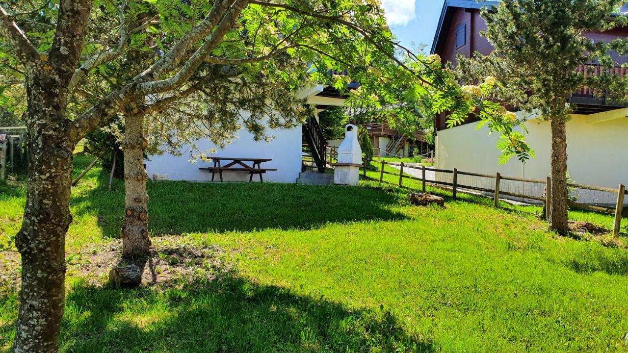 Chalet Individuel Les Sorbiers - 80M2 - Jardin - Barbecue - Wifi - Netflix - Ski & Randonnee - Pyrenees Catalanes Francaises - Eyne Kültér fotó